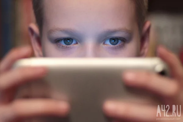 «Где альтернатива?»: Мизулина получила более 60 000 писем после блокировки Roblox