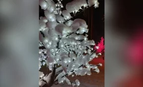 Сломали качелю и светящиеся деревья: глава округа в Кузбассе пожаловался на вандалов