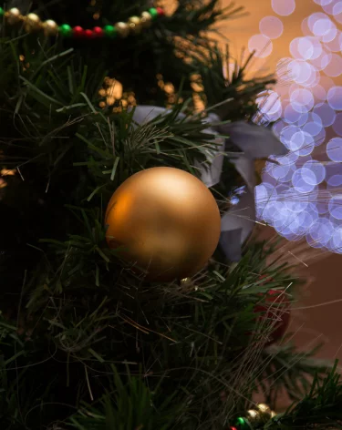 Власти Новокузнецка начали монтаж главной новогодней ёлки в ноябре