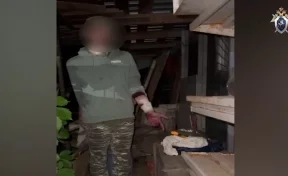 Подросток пытался убить молотком двух девочек в Домодедове