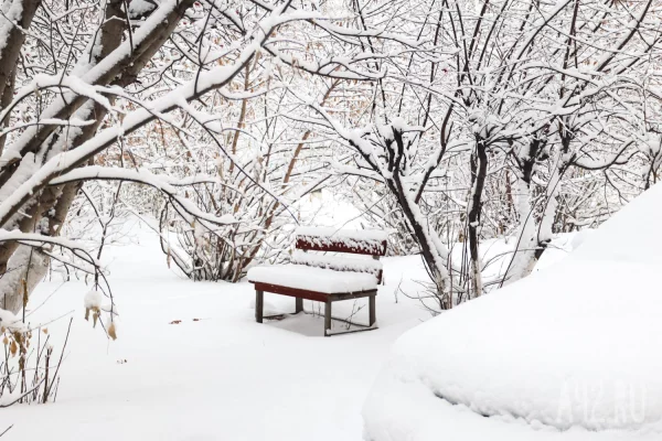 Кемерово под снегом