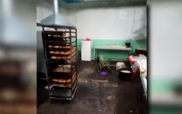 Фото: В Кузбассе пресекли деятельность подпольной пекарни, где работали нелегалы 1