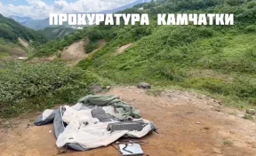 Прокуратура Камчатки опубликовала видео с места нападения медведя на туристку