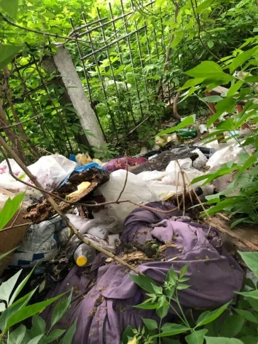 Фото: В Кемерове прокуратура заинтересовалась мусорной свалкой у больницы 3