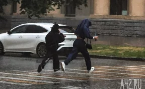 Сыро, туманно и тепло: синоптики рассказали о погоде на последней неделе августа в Кузбассе