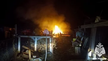 Фото: 40 кур заживо сгорели на пожаре в Кузбассе 1