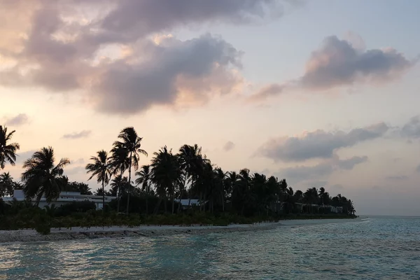 Отдыхавший в Таиланде россиянин вызвал полицию в ресторан из-за суммы в чеке 