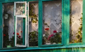 Кузбассовец повредил окно соседки, чтобы отремонтировать свой дом