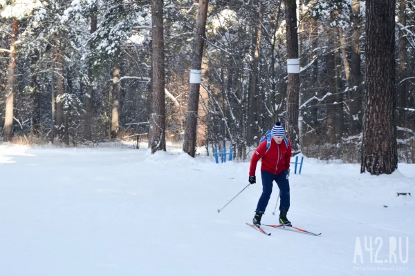 Кузбассовцы примут участие в «Лыжне России»: массовая гонка состоится 14 февраля