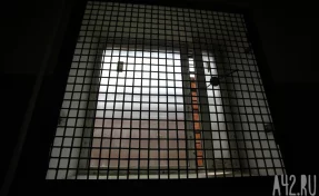 В Кузбассе арестовали мужчину, который несколько лет насиловал ребёнка