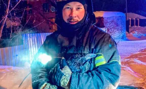 В Перми пожарные спасли из горящего дома ручного ворона и трёх собак 