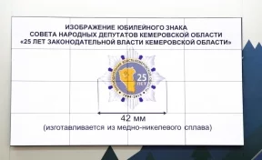 В Кузбассе учредили новую областную награду «25 лет законодательной власти Кемеровской области»