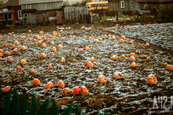 Не лениться и не надевать чужую обувь: народные приметы на 4 октября