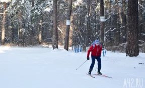 Кузбассовцы примут участие в «Лыжне России»: массовая гонка состоится 14 февраля