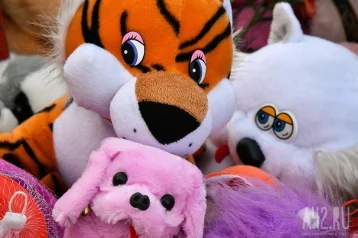 Фото: Странную поляну с игрушками нашли во время поисков девочки под Оренбургом 1