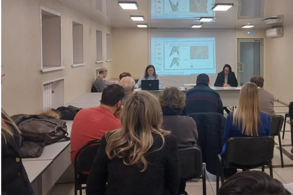 В Кемерове территорию Красного бора оставили в зоне городских лесов