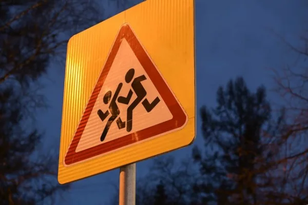 Под Калининградом школьный автобус наехал на дерево, двое детей пострадали