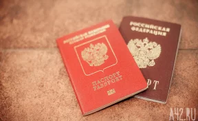 Имеющим судимость иностранцам откажут в получении российского гражданства