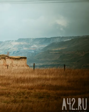 Андрей Панов: в Кузбассе за год восстановили более 2 000 га нарушенных земель