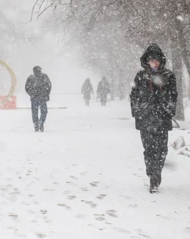 Ветер и снижение видимости: синоптики и МЧС предупредили об ухудшении погоды в Кузбассе