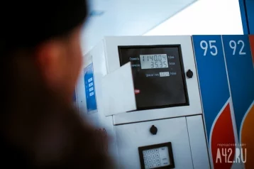 Фото: Цены на бензин в России в январе выросли на 0,8% 1