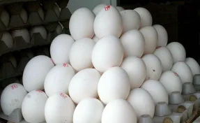 Россиянам напомнили, как долго могут храниться сваренные на Пасху яйца