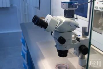 Фото: В Кузбассе планируют проводить тесты на коронавирус в частных лабораториях 1
