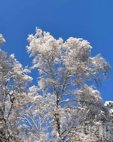 Синоптики сообщили о метелях и морозе до -27 в Кузбассе в последнюю субботу года