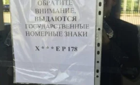 В Петербурге из-за массовых отказов водителей прекратили выдачу госномеров Х***ЕР 
