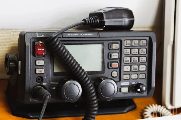 «Фотоловушка»: в Сети обсуждают новую информацию, связанную с семьёй Усольцевых