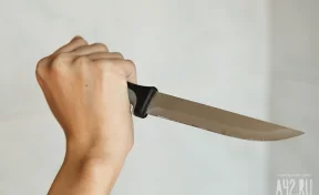 Соцсети: в Новый год в Белове зарезали мужчину, его мать и собаку