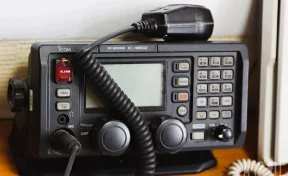 «Фотоловушка»: в Сети обсуждают новую информацию, связанную с семьёй Усольцевых