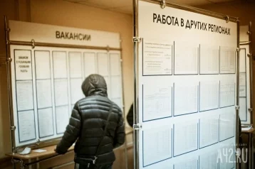 Фото: Российский педагог потерял работу в колледже из-за фотографии кактуса 1
