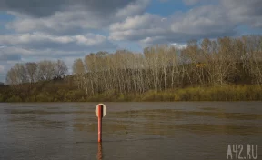 В Кемерове вода в Томи превысила критическую отметку, есть риск подтоплений