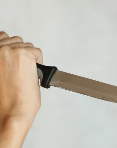 Соцсети: в Новый год в Белове зарезали мужчину, его мать и собаку