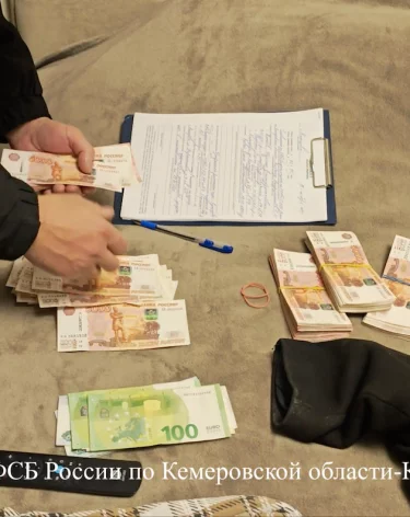 В Кузбассе задержали начальника лесничества за получении взятки в размере более 2 млн рублей