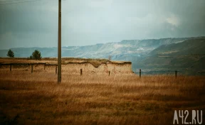 Андрей Панов: в Кузбассе за год восстановили более 2 000 га нарушенных земель