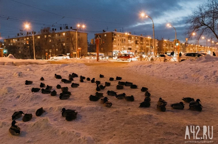 Фото: Очарование сибирской зимы: морозные каникулы в Кемерове 33