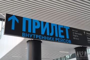 Фото: В аэропорту Толмачёво построят автостанцию, которая будет принимать автобусы из Кузбасса 1