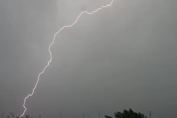 Молния убила двух охотников и собаку