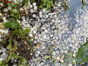 Фото: Крупный град и штормовой ветер обрушились на Кузбасс  2