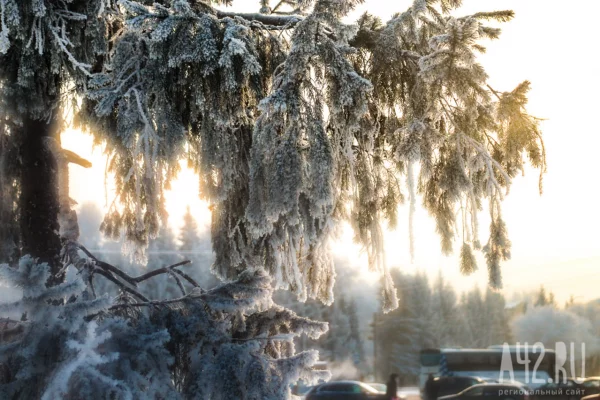 Перепад температуры в 20 градусов ожидается в Кузбассе 5 января