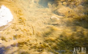 Крупное предприятие загрязняло реку в Кузбассе: ущерб превысил 65 млн рублей