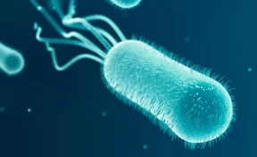 На МКС напечатали бактерии кишечной палочки