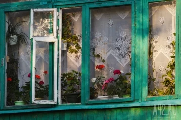 Фото: Кузбассовец повредил окно соседки, чтобы отремонтировать свой дом 1