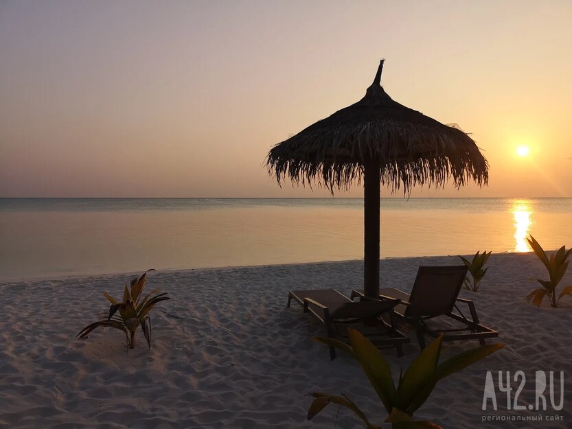 Пляж популярного египетского курорта закрыли после нападения акулы на девушку