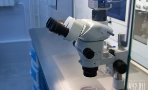 В Кузбассе планируют проводить тесты на коронавирус в частных лабораториях