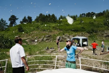 Фото: Засилье бабочек: почему в Кузбассе так много чешуекрылых в этом году 3
