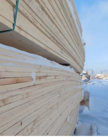 С начала года из Кузбасса в Таджикистан вывезли более 14 000 кубометров пихты и ели