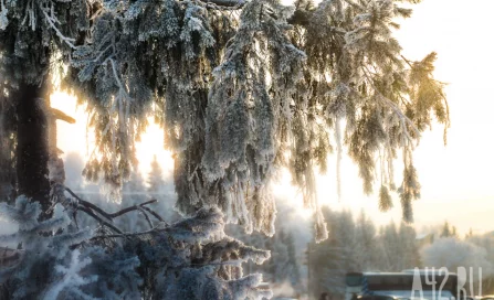 Перепад температуры в 20 градусов ожидается в Кузбассе 5 января